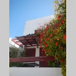 The Red-fish House *