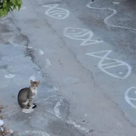 The Red-fish House Lägenhet